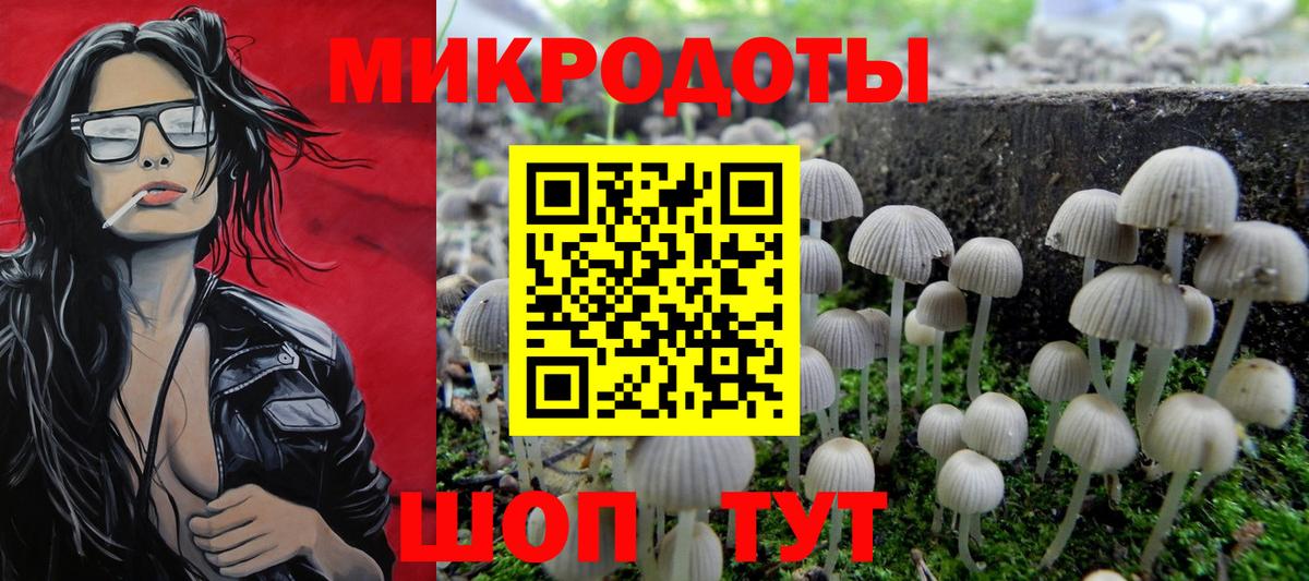 Галлюциногенные грибы MAGIC MUSHROOMS  Псилоцибиновые грибы Psilocybe  Вход с VPN  Павлово 
